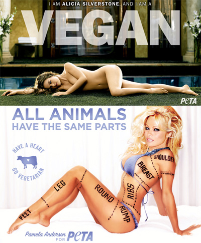 According to PETA spokeswoman Lindsay Rajt the new website petaxxx 